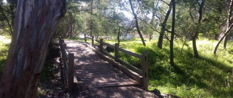 COMFORT INN COACH AND BUSHMANS - Accommodation Daintree 4