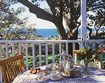 Figtrees Of Kiama B And B - Accommodation Daintree