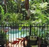 Daintree Rainforest Retreat Motel - Accommodation Daintree