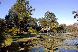Amamoor Creek QLD Accommodation Daintree