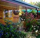 Cairns Bed and Breakfast - Accommodation Daintree