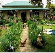 Campbell Homestead - Accommodation Daintree