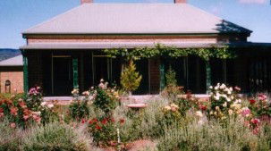 Green Gully NSW Accommodation Daintree