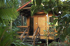 Cape Tribulation QLD Accommodation Daintree