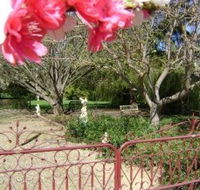 Dalebrook Guest House - Accommodation Daintree