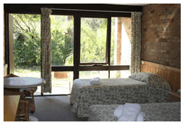 Treetops Resorts - Accommodation Daintree 1