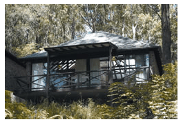 Treetops Resorts - Accommodation Daintree 2