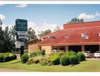 Greenlands NSW Accommodation Daintree