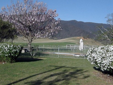 Araluen NSW Accommodation Daintree