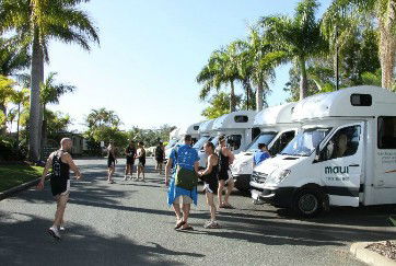 Gateway Village Resort - Accommodation Daintree 1