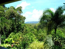 Daintree Manor - Accommodation Daintree 3