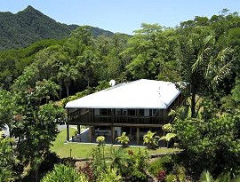 Daintree Manor - Accommodation Daintree 4