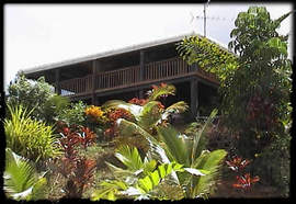 Daintree Manor - Accommodation Daintree 5