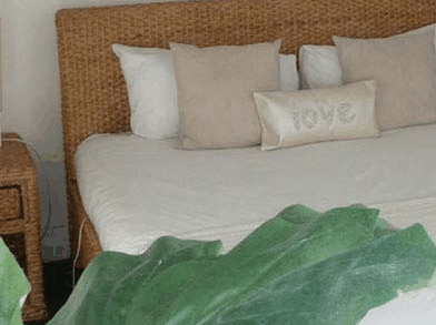 Caledonian Inn - Accommodation Daintree