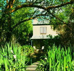 Dennis Cottage - Accommodation Daintree