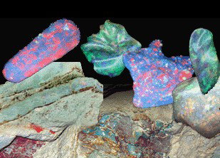 Umoona Opal Mine - Accommodation Daintree 1