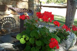 Adelaide Hills Country Cottages - Gum Tree Cottage - Accommodation Daintree 3