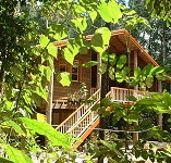 Rivers Edge Rainforest Retreat - Accommodation Daintree