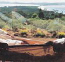Morella Island Retreats P/L - Accommodation Daintree