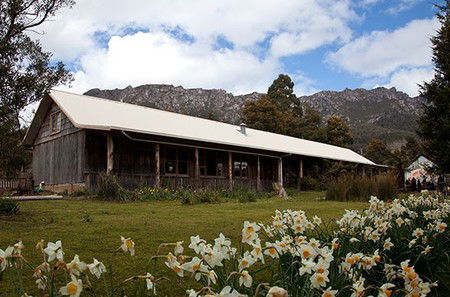 Gowrie Park Wilderness Village - Accommodation Daintree 2