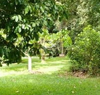 Kingfisher Park Birdwatchers Lodge - Accommodation Daintree
