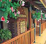 Curtain Fig Motel - Accommodation Daintree