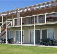 Coral Tree Lodge Tourist Park - Accommodation Daintree