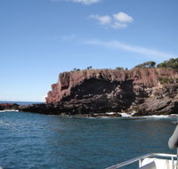 Art on Hart - Accommodation Daintree