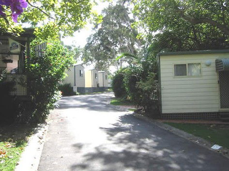 Palm Beach Caravan Park - Accommodation Daintree 0