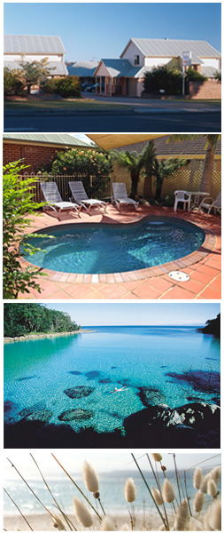 Dolphin Shores Motor Inn - Accommodation Daintree 1