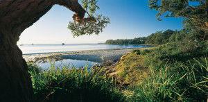 Dolphin Shores Motor Inn - Accommodation Daintree 2