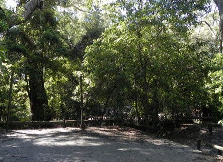 Booderee National Park: Green Patch Camping Area - Accommodation Daintree 0