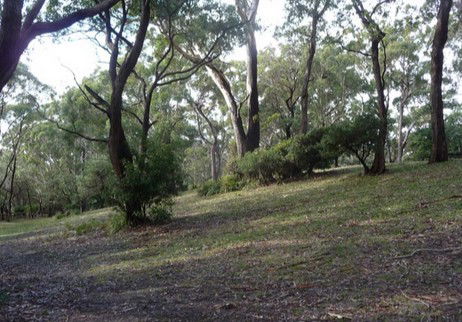 Booderee National Park: Green Patch Camping Area - Accommodation Daintree 3