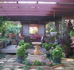 Blossoms Bed and Breakfast - Accommodation Daintree