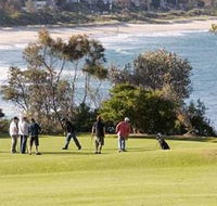 Bushview Cottage - Accommodation Daintree
