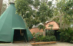 Arts Factory Backpackers Lodge - Accommodation Daintree 0