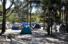 Arts Factory Backpackers Lodge - Accommodation Daintree 3