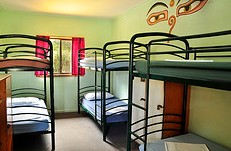 Arts Factory Backpackers Lodge - Accommodation Daintree 4