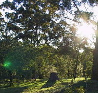 Calurla Chalets and Cottages - Accommodation Daintree