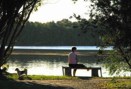 Fishing Haven Caravan Park - Accommodation Daintree 2