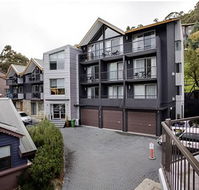 Snowgoose Apartments - Accommodation Daintree