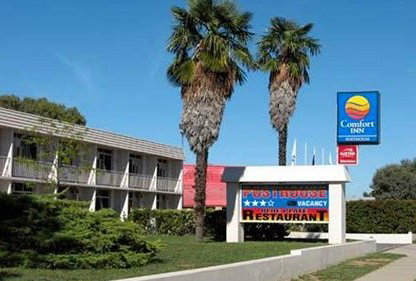 Comfort Inn Posthouse - Accommodation Daintree 0