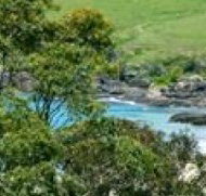 Aqua Bamboo - Accommodation Daintree