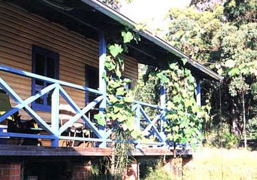 Callicoma Hill Eco-Cabins - Accommodation Daintree 3