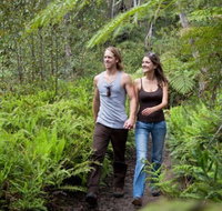 Blackheath Glen Tourist Park - Accommodation Daintree