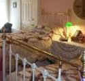 A Winter-Rose Cottage Bed and Breakfast - Accommodation Daintree