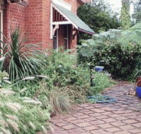 Carinya B and B - Accommodation Daintree