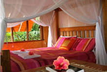 1770 Beach Shacks - Accommodation Daintree 0