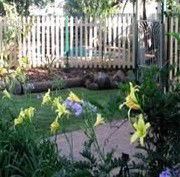 Flora Alba Cottage And Jacaranda On Pallas - Accommodation Daintree 2