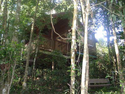 Adjinbilly Rainforest Retreat Cabins - Accommodation Daintree 0